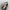 1.2L 300W Electric Mini Meat Mincer - Golonzo -