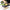 11 In 1 Vegetable&Fruit Mandoline Slicer - Golonzo -