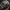 Analog Military Male Watches - Waterproof Quartz Watch - Golonzo -
