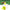Automatic Tennis Ball Launcher for Dog - Golonzo -
