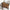 Big Straw Beach Bags - Golonzo -