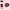Cat Collar Lace Black Choke with Bell Floral Pattern - Golonzo -