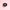 Cat Collar Lace Black Choke with Bell Floral Pattern - Golonzo -