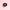 Cat Collar Lace Black Choke with Bell Floral Pattern - Golonzo -