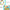 Music Playgym Piano Playmat-Play Mats & Gyms-Golonzo