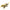 Golden Dragon Fighter Creator Dragon 2in1 Set DIY-Toys-Golonzo