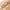 Women Straw Crossbody Bag-Handbags-Golonzo