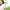 Vegetable Spiralizer-Kitchen Slicers-Golonzo