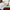 Enamel Coffee Mugs Set With Spoon Dishes-Coffee and Tea Cups-Golonzo