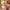 80/100CM Giant Big Size Duck Pillow - Golonzo -                                                                             