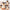 16cm Mini Penguin Plush Toys - Golonzo -                                                                             
