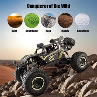 1:8 50cm RC Car 2.4G Radio Control 4WD Off-road Electric Vehicle - Golonzo -                                                                             