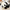 20~70cm Cute Walking Panda Stuffed Animal - Golonzo -                                                                             