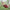 250*150cm 2 People Outdoor Canvas Camping Hammock - Golonzo -                                                                             