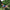 250*150cm 2 People Outdoor Canvas Camping Hammock - Golonzo -                                                                             