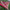 250*150cm 2 People Outdoor Canvas Camping Hammock - Golonzo -                                                                             