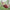 250*150cm 2 People Outdoor Canvas Camping Hammock - Golonzo -                                                                             