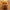 25CM Stuffed Simulation Cute Dogs Chow Chow Plush Toys - Golonzo -                                                                             
