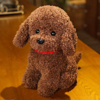 1pc 22/28cm Lovely Curly Hair Teddy Dog Stuff Animal - Golonzo -                                                                             