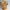 30-60cm Cartoon Cute Gingerbread Man Plush Toys - Golonzo -                                                                             