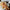 30-60cm Cartoon Cute Gingerbread Man Plush Toys - Golonzo -                                                                             