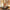 30W Sky LED Torchiere Super Bright Floor Lamp with Programmable Timer - Golonzo -                                                                             