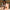 30~60cm Bubble Tea Piggy Doll - Golonzo -                                                                             