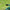 360 Degree Automatic Garden Watering Sprinklers - Golonzo -                                                                             