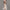 4-14T Flower Dress For Girls - Golonzo -                                                                             