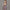 4-14T Flower Dress For Girls - Golonzo -                                                                             