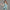 4-14T Flower Dress For Girls - Golonzo -                                                                             