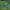 2.4/3.6/4.8M Hand Throw Fishing Net - Golonzo -                                                                             