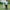 2.4/3.6/4.8M Hand Throw Fishing Net - Golonzo -                                                                             