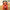25/40cm Pochita Plush Chainsaw Chainsaw Man - Golonzo -                                                                             