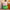 25/35/45CM Cartoon Cosplay Pig Plush Pillows Stuffed Animal - Golonzo -                                                                             