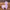 35/50cm Stuffed Alpaca - Standing Alpaca - Golonzo -                                                                             