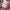 35/50cm Stuffed Alpaca - Standing Alpaca - Golonzo -                                                                             