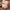 35/50cm Stuffed Alpaca - Standing Alpaca - Golonzo -                                                                             