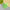 50pcs Galaxy star in your bedroom - Golonzo -                                                                             