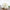 5Pcs Silk Artificial Peony Flowers - Golonzo -                                                                             
