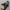 5 Core Super Bright Flashlight Rechargeable Outdoor Multi function - Golonzo -                                                                             