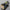 5 Core Super Bright Flashlight Rechargeable Outdoor Multi function - Golonzo -                                                                             