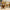 35/50/60CM 5 Colors Lovely Bow-Knot Teddy Bear Doll - Golonzo -                                                                             
