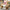 35/50/60CM 5 Colors Lovely Bow-Knot Teddy Bear Doll - Golonzo -                                                                             
