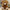35/50/60CM 5 Colors Lovely Bow-Knot Teddy Bear Doll - Golonzo -                                                                             