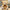 35/50/60CM 5 Colors Lovely Bow-Knot Teddy Bear Doll - Golonzo -                                                                             