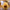 30/40/60cm Happy Half Avocado Family Plush Toy - Golonzo -                                                                             