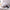 65-100cm Animals Plushie Cute Soft Sloth Toy Stuffed Animals - Golonzo -                                                                             