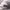 65-100cm Animals Plushie Cute Soft Sloth Toy Stuffed Animals - Golonzo -                                                                             
