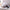 65-100cm Animals Plushie Cute Soft Sloth Toy Stuffed Animals - Golonzo -                                                                             
